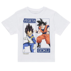 NAME IT Rövid ujjú pólók NKMJES DRAGON Fehér 7 Jahre