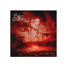 Napalm Bodom After Midnight - Paint The Sky With Blood (Digipak) (Cd) heavy metal