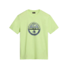  NAPAPIJRI S-Bollo SS 1 yellow sunny - póló XL