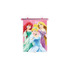  Napellenző roló autóba - Disney Princess (317014)