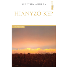 Napkút Kiadó Hiányzó kép regény