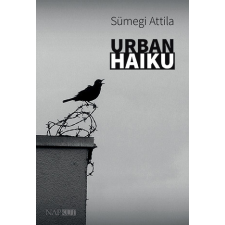 Napkút Kiadó Urban haiku irodalom
