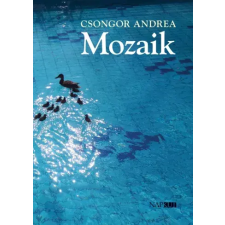 NAPKÚT Mozaik egyéb e-könyv