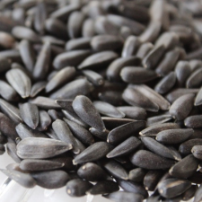  Napraforgó Fekete 5 kg - gazdaságos kiszerelés madáreledel