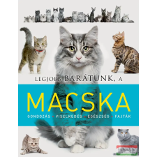 Napraforgó Könyvkiadó Legjobb barátunk, a macska gyermek- és ifjúsági könyv