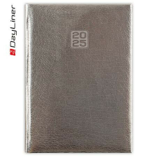  Naptár, tervező, A5, heti, DAYLINER, "Mirror", ezüst határidőnapló