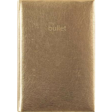  Naptár, tervező, A5, napi, DAYLINER, "Mirror", arany határidőnapló