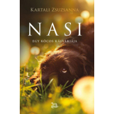 Nasi regény