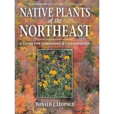  Native Plants Of The Northeast – Donald Joseph Leopold idegen nyelvű könyv