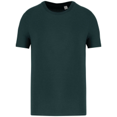 Native Spirit Native Spirit NS300 ECO-FRIENDLY UNISEX T-SHIRT 2XL