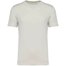 Native Spirit Native Spirit NS300 ECO-FRIENDLY UNISEX T-SHIRT 3XL