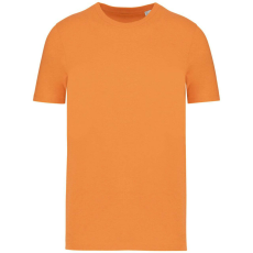 Native Spirit Native Spirit NS300 ECO-FRIENDLY UNISEX T-SHIRT 4XL