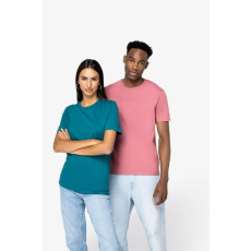 Native Spirit Native Spirit NS305 UNISEX ECO-FRIENDLY T-SHIRT 2XL