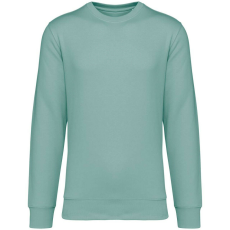 Native Spirit Native Spirit NS400 ECO-FRIENDLY UNISEX ROUND NECK SWEATSHIRT L