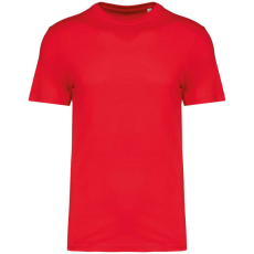  Native Spirit NS300 ECO-FRIENDLY UNISEX T-SHIRT 2XL