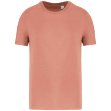  Native Spirit NS300 ECO-FRIENDLY UNISEX T-SHIRT 3XL