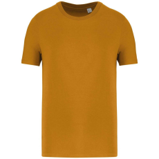  Native Spirit NS300 ECO-FRIENDLY UNISEX T-SHIRT 3XL