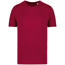 Native Spirit NS300 ECO-FRIENDLY UNISEX T-SHIRT 4XL férfi póló