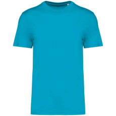  Native Spirit NS300 ECO-FRIENDLY UNISEX T-SHIRT 5XL