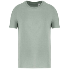  Native Spirit NS300 ECO-FRIENDLY UNISEX T-SHIRT S