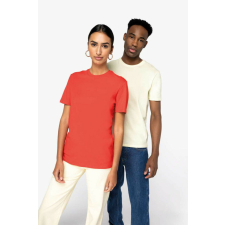 Native Spirit NS300 ECO-FRIENDLY UNISEX T-SHIRT S férfi póló