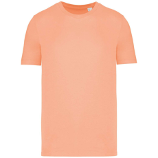  Native Spirit NS300 ECO-FRIENDLY UNISEX T-SHIRT XL