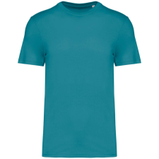 Native Spirit NS300 ECO-FRIENDLY UNISEX T-SHIRT XL munkaruha