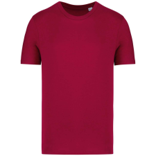 Native Spirit NS300 ECO-FRIENDLY UNISEX T-SHIRT XS munkaruha