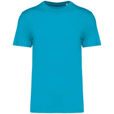 Native Spirit NS300 ECO-FRIENDLY UNISEX T-SHIRT XS munkaruha