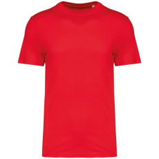 Native Spirit NS300 ECO-FRIENDLY UNISEX T-SHIRT XS