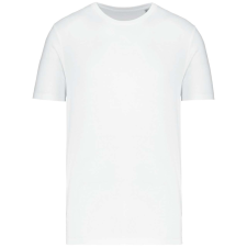 Native Spirit NS300 ECO-FRIENDLY UNISEX T-SHIRT XS munkaruha