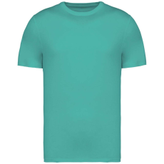  Native Spirit NS305 UNISEX ECO-FRIENDLY T-SHIRT L