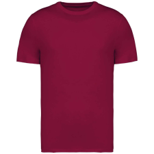 Native Spirit NS305 UNISEX ECO-FRIENDLY T-SHIRT XL férfi póló
