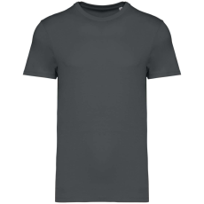 Native Spirit NS305 UNISEX ECO-FRIENDLY T-SHIRT XL