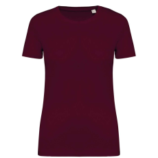 Native Spirit NS324 LADIES' T-SHIRT XS