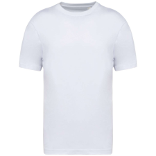 Native Spirit NS332 MEN&#039;S OVERSIZED T-SHIRT 2XL munkaruha