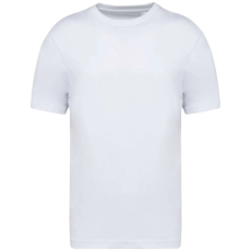 Native Spirit NS332 MEN'S OVERSIZED T-SHIRT XS