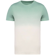 Native Spirit NS345 UNISEX ECO-FRIENDLY DIP DYE T-SHIRT L munkaruha