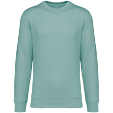 Native Spirit NS400 ECO-FRIENDLY UNISEX ROUND NECK SWEATSHIRT L