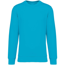 Native Spirit NS400 ECO-FRIENDLY UNISEX ROUND NECK SWEATSHIRT L