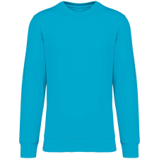 Native Spirit NS400 ECO-FRIENDLY UNISEX ROUND NECK SWEATSHIRT XS munkaruha