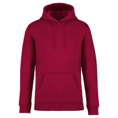  Native Spirit NS401 ECO-FRIENDLY UNISEX HOODED SWEATSHIRT XL
