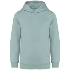 Native Spirit NS404 KIDS’ HOODED SWEATSHIRT 8/10 gyerek pulóver, kardigán