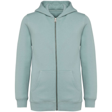 Native Spirit NS405 ECO-FRIENDLY KIDS’ FULL ZIP HOODED SWEATSHIRT 10/12 gyerek pulóver, kardigán