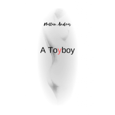 Nattán András (magánkiadás) A Toyboy regény
