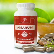  Natúr Élet Amarum kapszula 45 db gyógyhatású készítmény