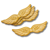  Natúr fa - Angyalszárny 11x2,8cm 4db/csomag