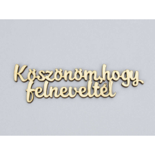  Natúr fa - &quot;Köszönöm, hogy felneveltél&quot; felirat 4x15cm dekorációs kellék