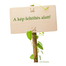  NATUR VANILIA RÚD 2DB reform élelmiszer