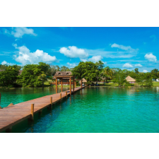  Natura29 öntapadós és mosható fali tapéta, 200 x 150 cm tapéta, díszléc és más dekoráció